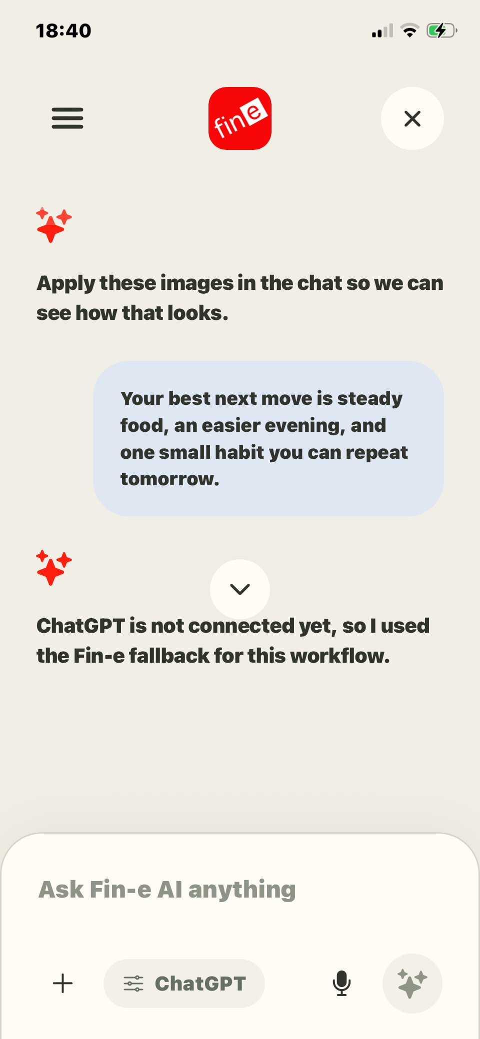 Fin-e chat screen for pilot households